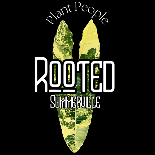 Rooted Summerville